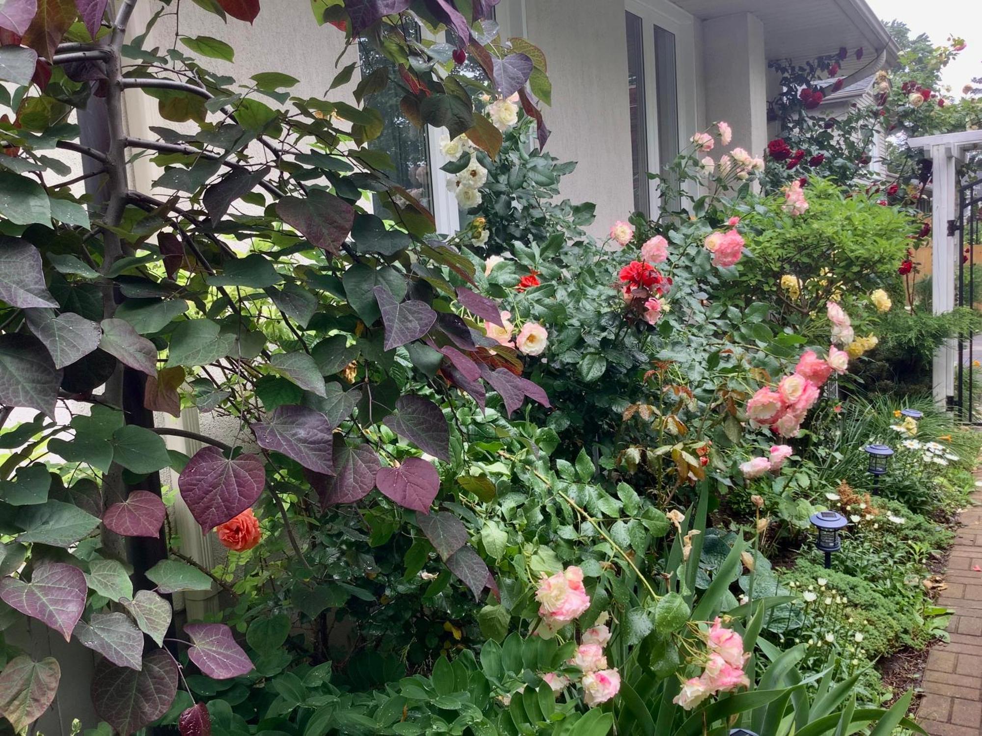 Via Veneto - Old Town Bed & Breakfast Niagara-on-the-Lake Exterior photo